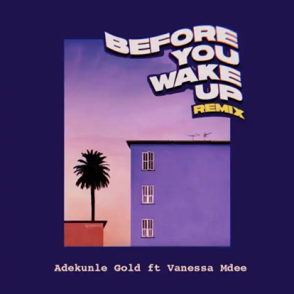 Adekunle Gold - Before You Wake Up (Remix) Ft. Vanessa Mdee